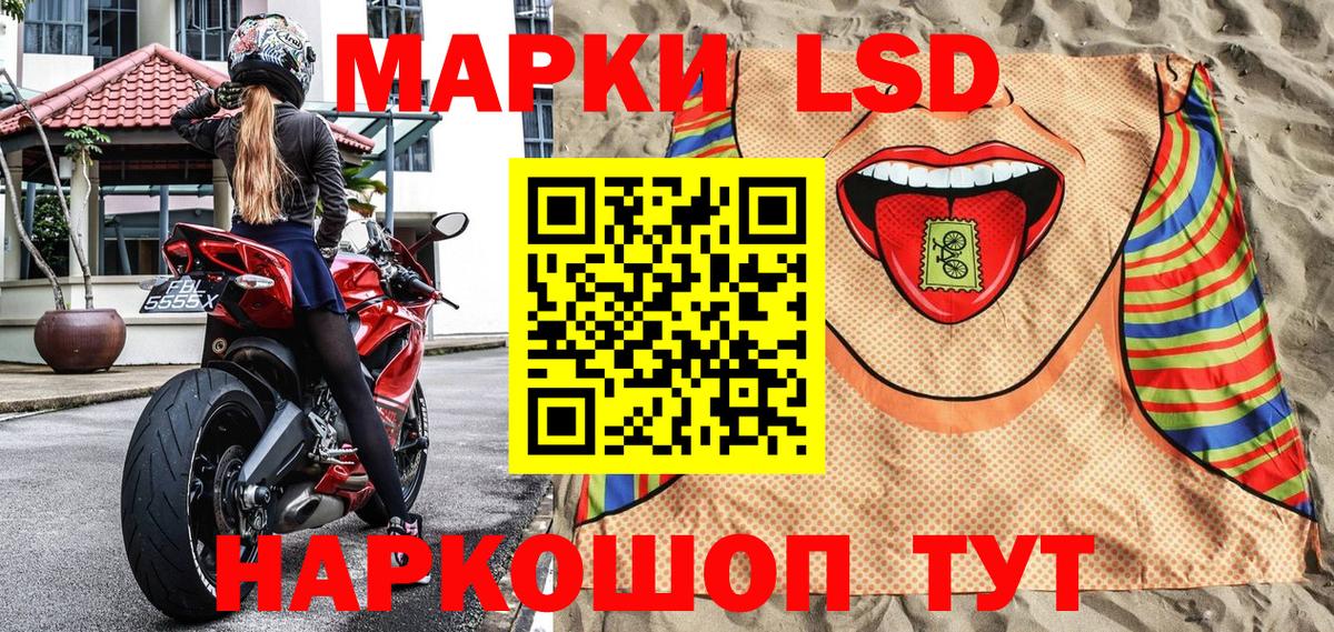 Курчалой  Марки NBOMe 1,8мг  где продают наркотики  Вход с VPN 